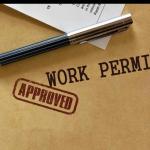 All 13 Types of UAE Work Permits Explained: Which One Suits Your Career in 2025?