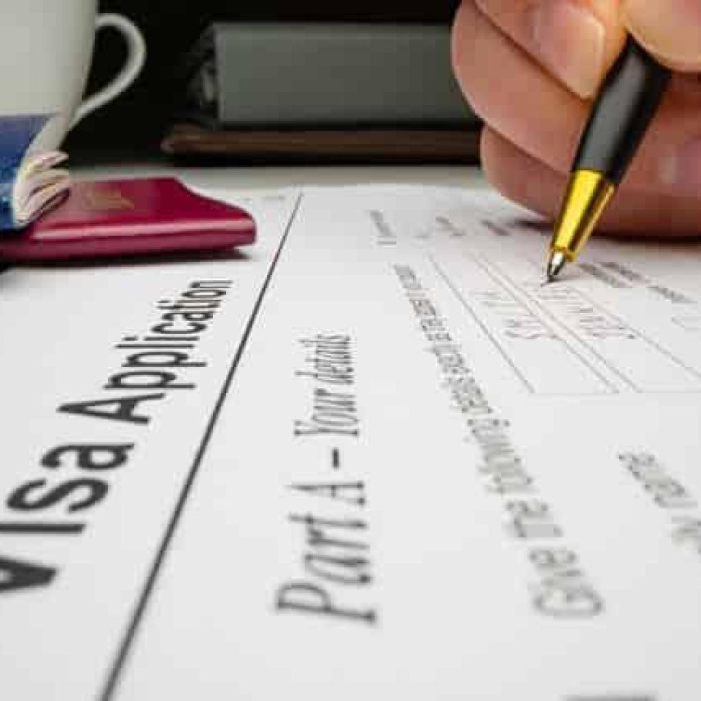 Study in the UAE: Visa Process and Top University Options for International Students