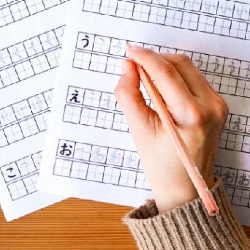 UAE to Host Japanese Language Proficiency Test for First Time in December 2025