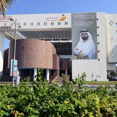 Dubai Municipality Boosts Urban Greenery with Dh190 Million Landscaping Projects