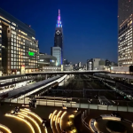 UAE Citizens Now Enjoy 90-Day Visa-Free Stays in Japan